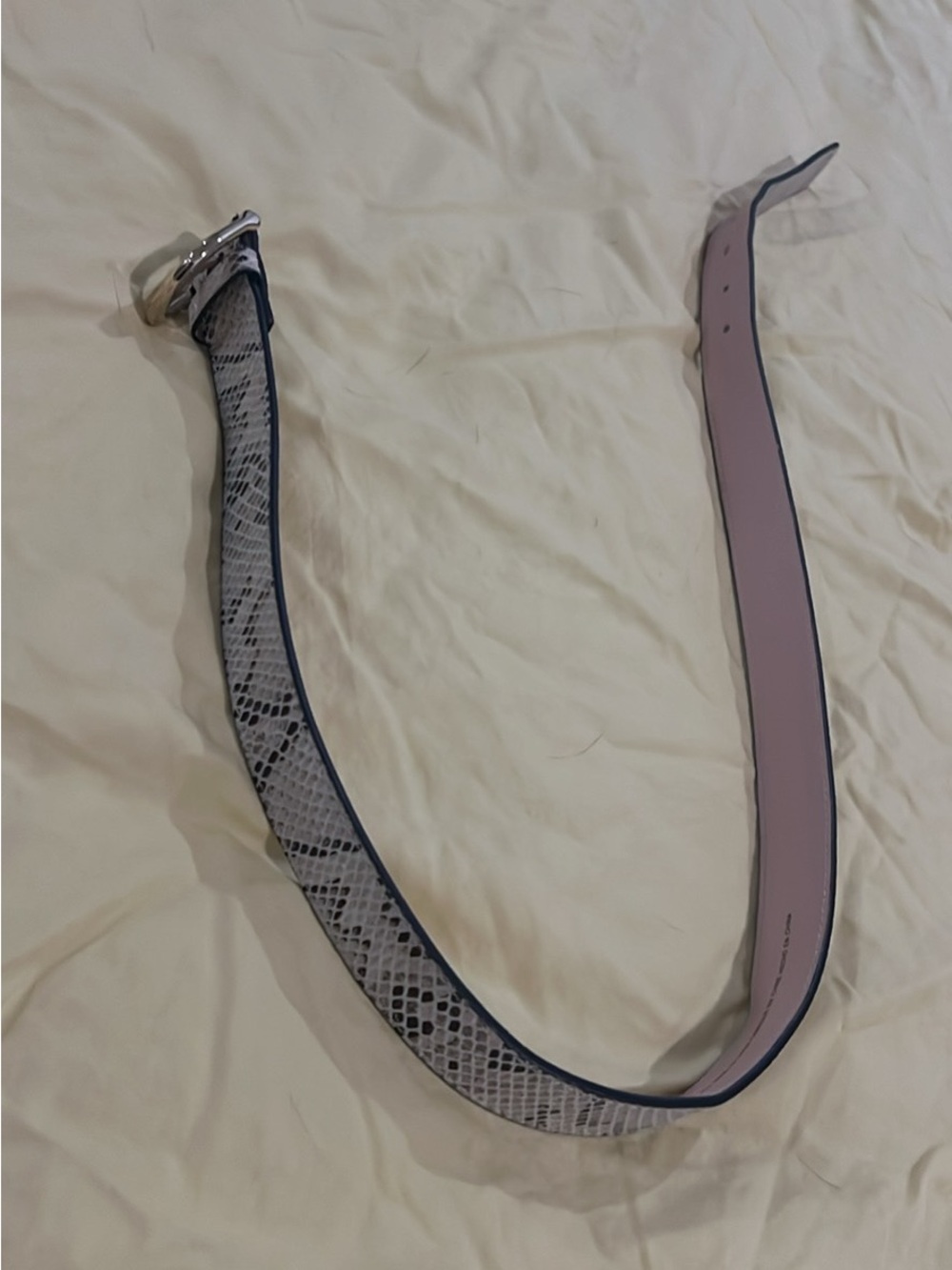 H&M Snake-Print Belt with Silver Buckle